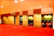La "Salle 3000" de la Cité Internationale de Lyon  