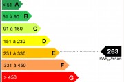 Diagnostic de performance énergétique et annonce