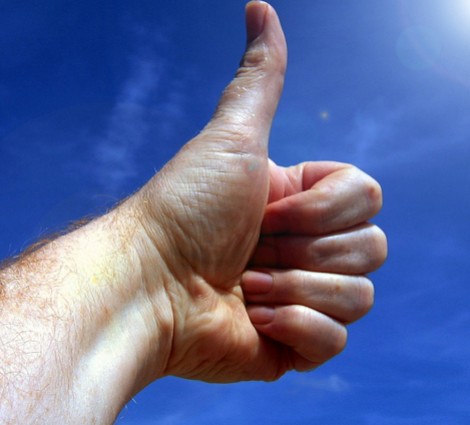 Batiactu récompensé par l'OJD