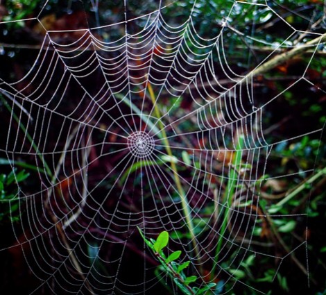 LinkedIn est-il le réseau social professionnel le plus performant ?