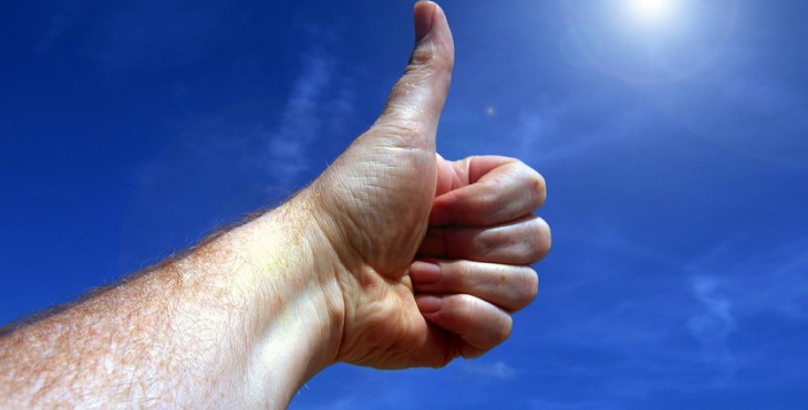 Archicool en pleine forme