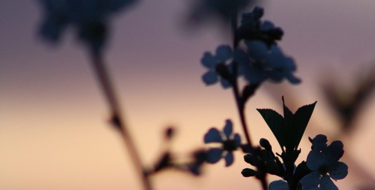 Un pilier du Centre Infobatir nous a quitté