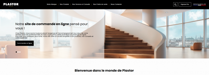 Analyse technique du nouveau site Plastor : ergonomie, SEO et performance
