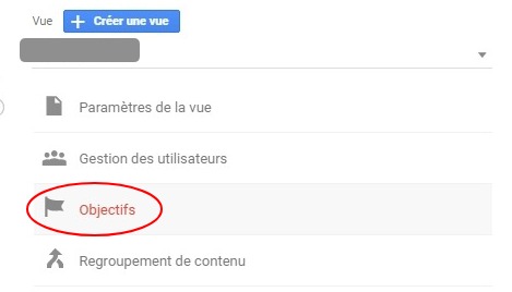 objectifs analytics